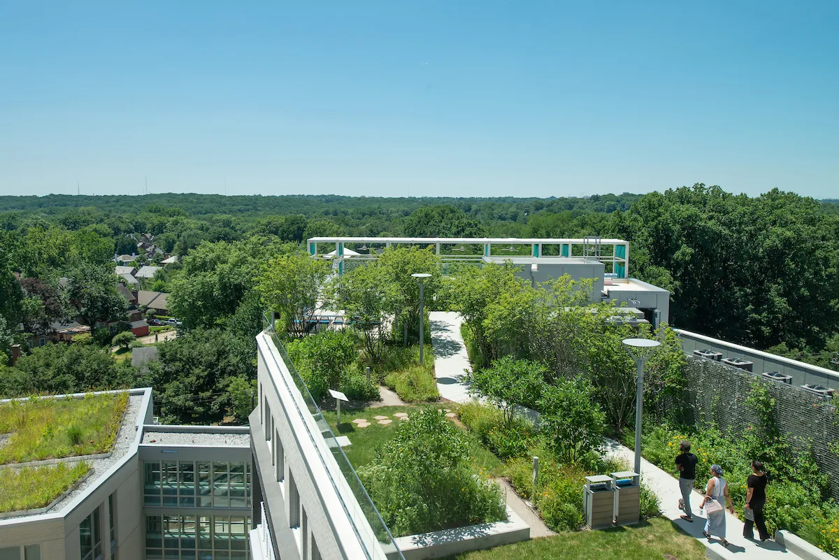 three people on a walkway through a rooftop green space