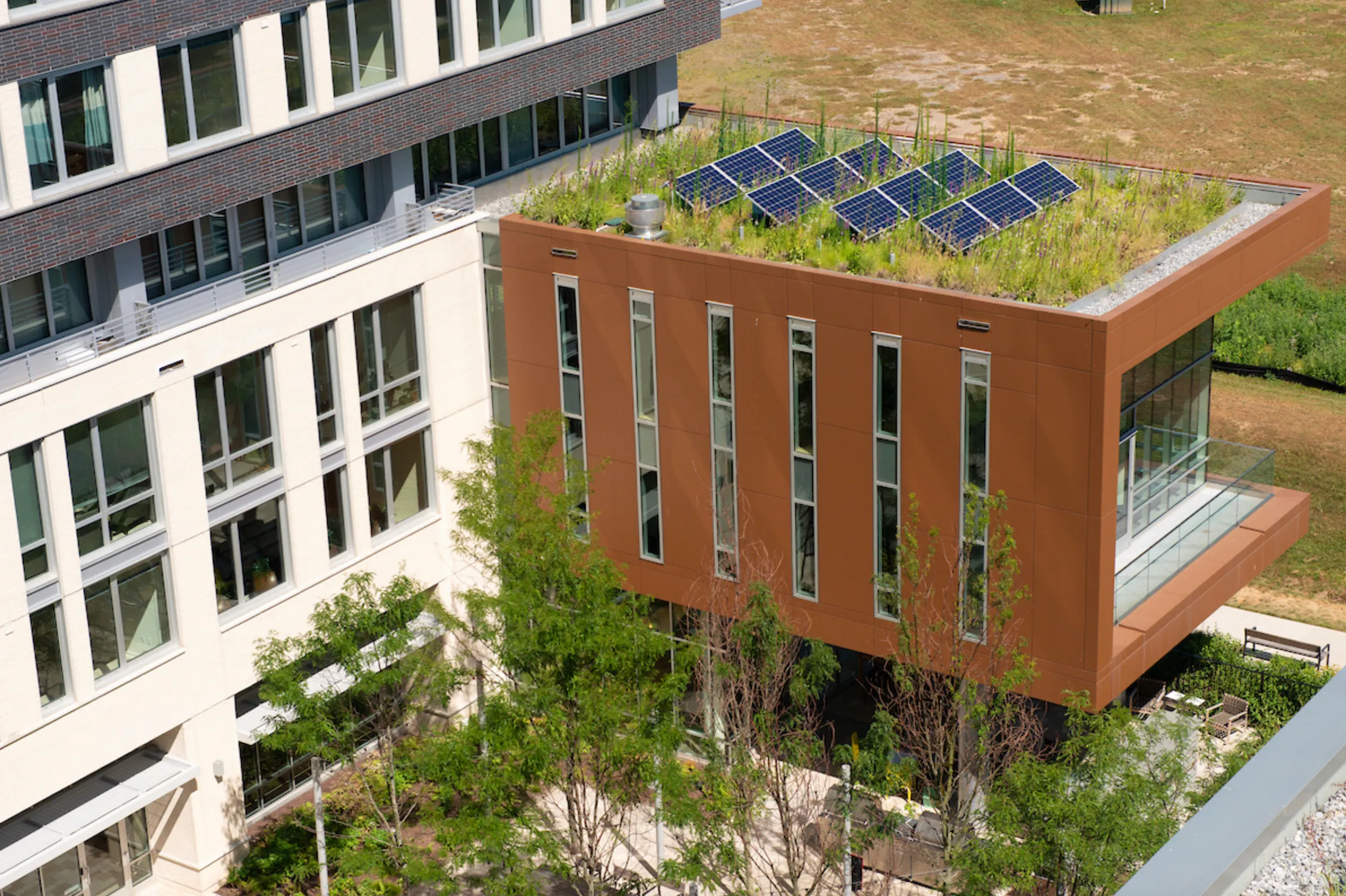 a rooftop with plants and solar panels