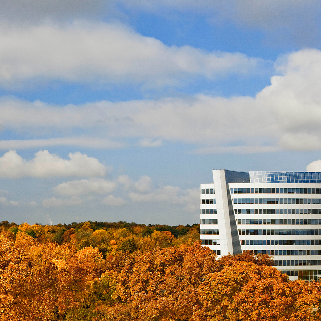exterior view of an office building surrounded by fall trees