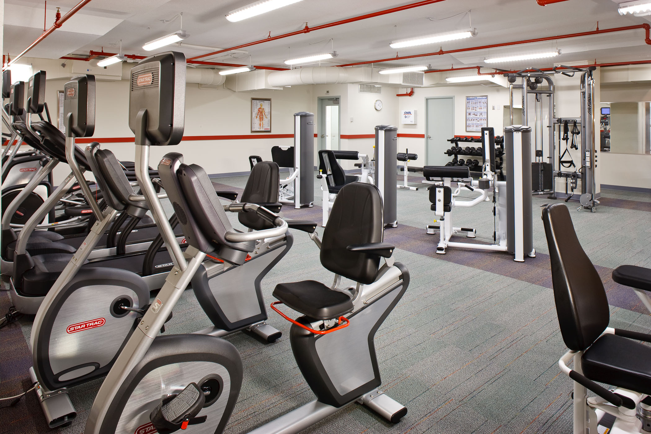 exercise bikes in apartment building fitness center