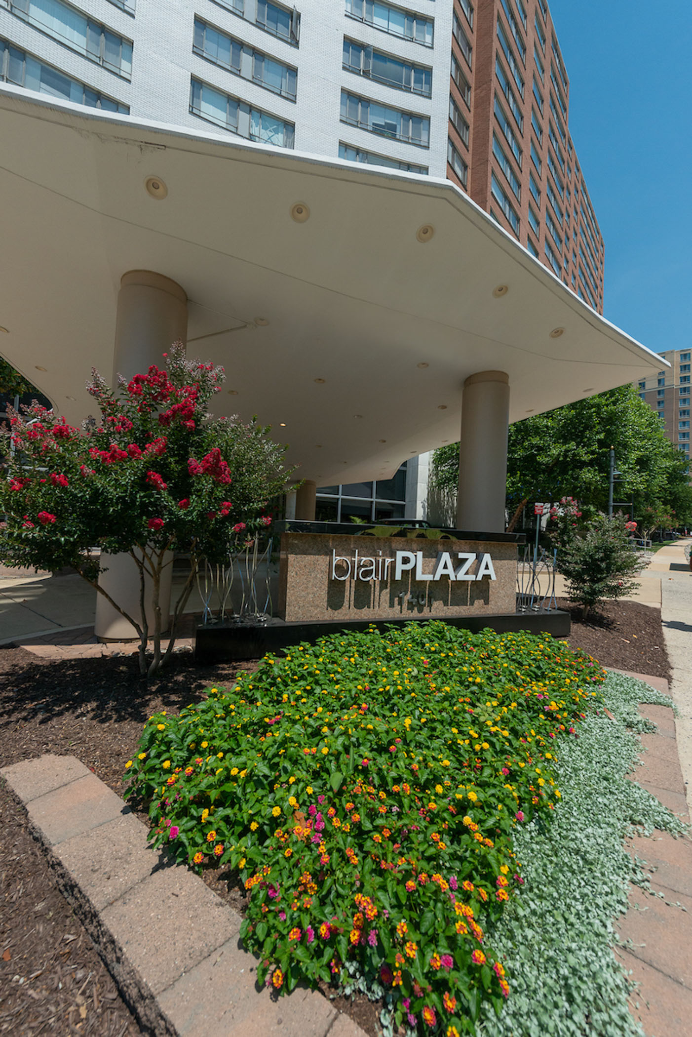 landscaping in front of Blair Plaza signage