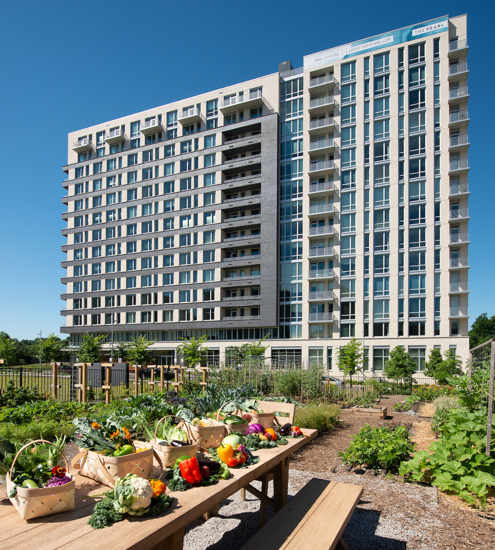 vegetables displayed on a picnic table next to a garden with a high rise apartment building in the background