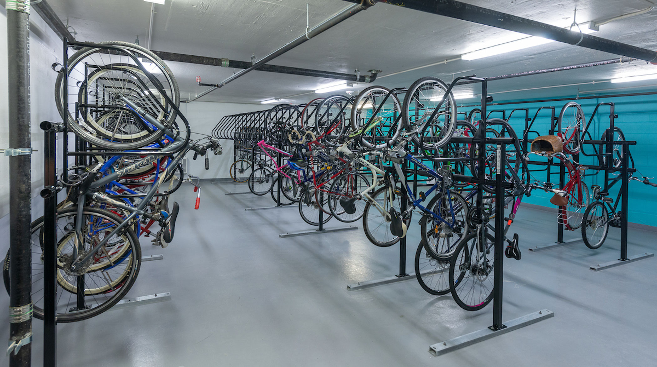 three rows of bikes stored in bike room at The Pearl