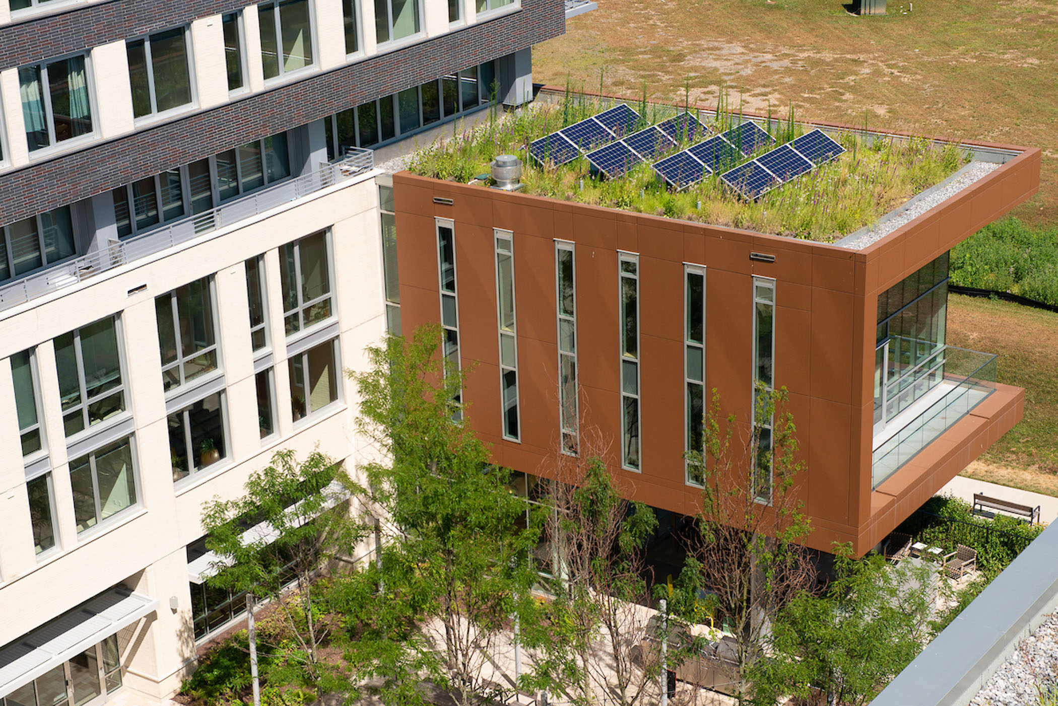 a rooftop with plants and solar panels